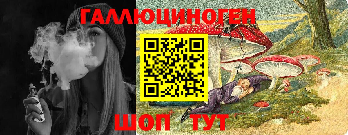 Псилоцибиновые грибы Psilocybe  Вход с VPN  Красноармейск 